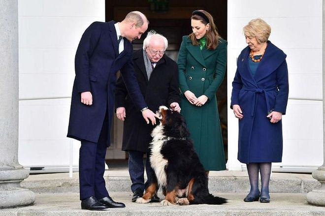 The royal couple stands next to Ireland's president, his wife, and their dog.

Photo: Getty