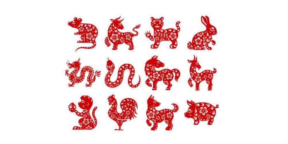 Lunar New Year 2019: How to usher in the Year of the Pig