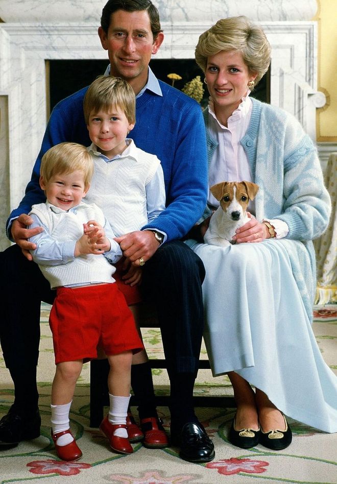 The rumour states that before Diana could marry Charles, the Queen ordered her to undergo fertility tests to verify that she could have children. During the tests, her eggs were fertilized and a doctor secretly stole the embryo and implanted it into his wife. Photo: Getty